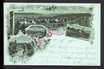 AK Selters/ Westerwald 1898 Panorama -