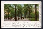 AK Herford 1904 Wilhelmsplatz -