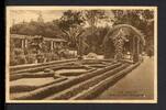 AK Bad Pyrmont 1924 Partie aus dem Palmengarten -