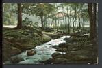 AK Ilsenburg 1907 Das Ilsetal -