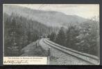AK Skolego, Ukraine 1916 Bahnstrecke von Skolego nach Hrebenov -