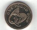  1 POUND 2006 GUERNSEY UNC  £1 COIN YEAR KM#110  37.23 £34.62 £  +  7.45 £ shipping
