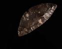   Neolithische Sichel aus Silex  234.08 £  +  30.34 £ shipping