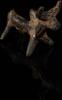   Tierfigur eines Stiers aus Bronze  303.43 £  +  30.34 £ shipping
