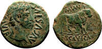 Roman Empire As ca. 8 BC AUGUSTUS AE As. VF+. Bull. VF+ 195.06 £  +  20.81 £ shipping