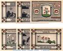 Serienscheine DE 6 Scheine kpl. Notgeld der Stadt Annaburg , Set mit 6 Scheinen in kfr. M/G 34.1 -