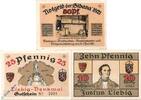 Notgeld DE 3 Scheine kpl. Notgeld Gießen , Gibana , Set mit 3 Scheinen , Mehl Grabowski 425.1 , von 1921 , Hessen Seriennotgeld -