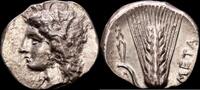 Metapontion Est&aacute;tera 330-290 a.C. Antigua Grecia EBC-/EBC 583.97 &pound;  +  21.16 &pound; shipping