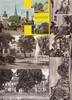 DDR, Thüringen,, 6 Ansichtskarten Arnstadt, -