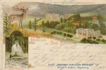 Deutsches Reich Ansichtskarte Bad Harzburg -