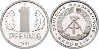 DDR nur 40 Exemplare in Polierter Platte 1 Pfennig 1981 PP