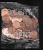 PORTUGAL 2 Cent Sachet d'origine. 50 EX. Ursprungssäckchen . -