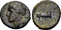 Greek AE 20 mm Sicily, Syracuse. AE (20mm, 6.61 gram) Hiketas, circa 287-278 BC -