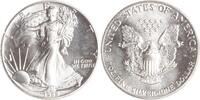 USA 1 Dollar 1989 American Eagle. Stempelglanz 39.05 £ Tax included +  8.68 £ shipping