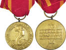 Poland Medaille Varsovie, WAR, Excellent Quality, Gilt Bronze, 33 -