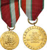 Poland Medal Maintien de la Paix, WAR, Uncirculated, Gilt Bronze -