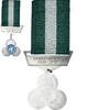 Ethiopia Medal Troupes de l'ONU, WAR, Excellent Quality, Métal, 33 -