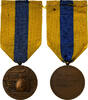 France Medaille Batailles de la Somme, WAR, Excellent Quality, Delannoy -