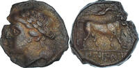 Æ Coin, Campania, Neapolis, Bronze, HGC:1-482 -
