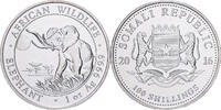 Somalia 100 Shillings Silver -