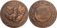 France Medal Société d'Agriculture de la Charente, Bronze, Rivet -