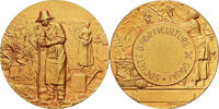 France Medaille Société d'Horticulture de Douai, Gilt Bronze, Rivet -