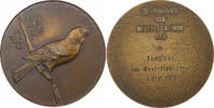 Netherlands Medaille Dutch Minister of Culture, Cycling, Bronze -