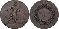 France Medaille Comice Agricole de l'Arrondissement de Nevers, Bronze -