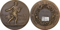 France Medaille Comice Agricole de l'Arrondissement de Nevers, Bronze -