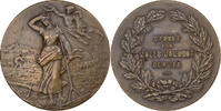 France Medaille Médaille du Mérite Agricole, Bronze -