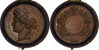 France Medaille Comice Agricole de l'Arrondissement de Cosne, Bronze -