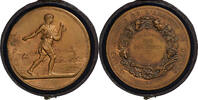 France Medaille 1884 Comice Agricole de lArrondissement de Nevers, Bronze MS(64)