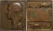 France Plaquette Comice Agricole de Saint-Pierre-le-Moûtier, Bronze -
