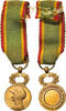 France Medal Société d'Encouragement au Dévouement, Réduction, Excellent -