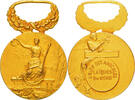 France Medal Union des Amicales Laïques du Nord, Very Good Quality, Gilt -