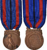 France Medal Victimes de l'Invasion, Very Good Quality, Dautel -