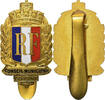 France Insigne Conseil Municipal, Adjoint, Gilt Metal -