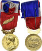France Medaille Ministère des Affaires Sociales, Palme, Excellent Quality -