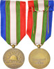 France Medal Union Nationale des Combattants, Excellent Quality, Bronze, 26 -