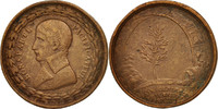 France Medal Bonaparte pacificateur, History, Copper -