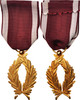 Belgium Medal Crown order, Excellent Quality, Bronze -