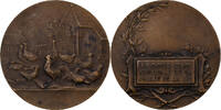 France Medaille La Basse-cour familiale de la Vallée de la Lys, Bronze -