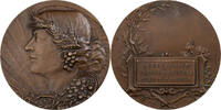 France Medal Association du mérite agricole du Nord, Bronze -