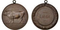Belgium Medal Business & industry, Bronze -
