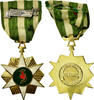 Vietnam Medal Campagne, Chien-Dich Boi-Tinh, Excellent Quality, Gilt -