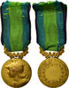 France Medal Bien Public, Very Good Quality, Landowski, Gilt Bronze, 32 -