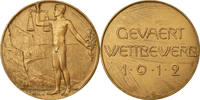 Germany Medal Gevaert Wettbewerb, Berlin, C.Stoeving, Bronze -