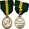United Kingdom Medal Edward VII, Territorial Force Efficiency, Privately engraved -