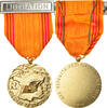 France Medal Insigne du Réfractaire, Uncirculated, Gilt Bronze, 37 -