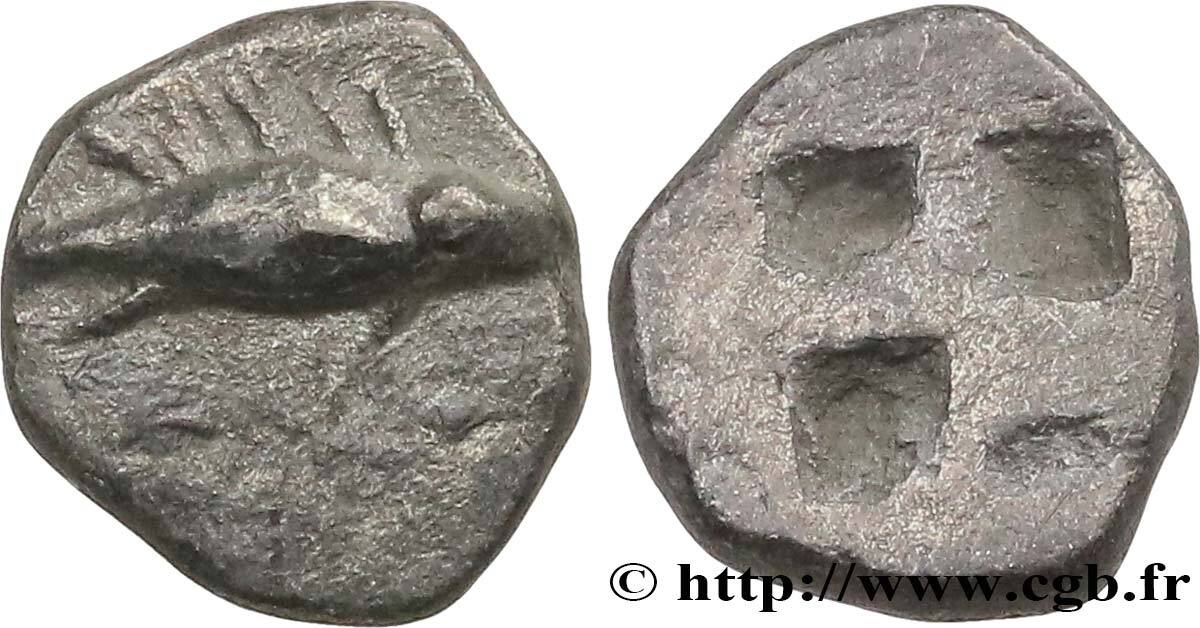 Archaïc 2 (550 BC to 480 BC) Hemiobole MYSIA – KYZIKOS / CYZICUS